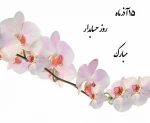 روز حسابدار مبارک 2