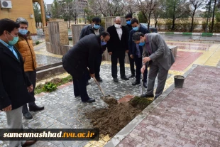 کاشت نهال درخت  2