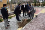کاشت نهال درخت  5