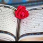 کانون عترت و قرآن دانشگاه ثامن
