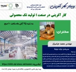 ویبنار کارآفرینی 2