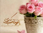 ولادت حضرت زینب و روز پرستار گرامی باد. 2
