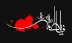 شهادت حضرت فاطمه زهرا(س) تسلیت باد. 2